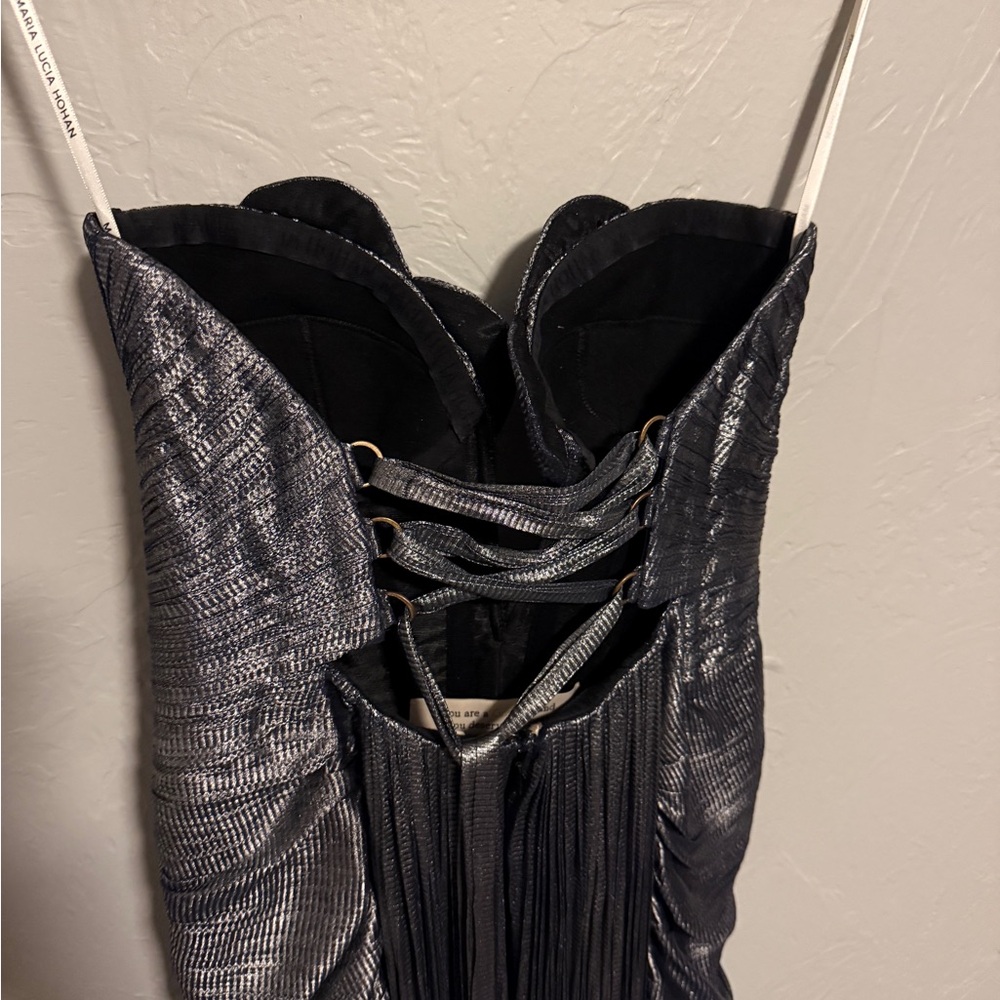 Maria Lucia Hohan x REVOLVE Reina Maxi Dress in Nightfall Silver Strapless Gown - Picture 9 of 16